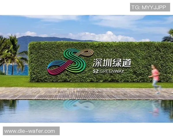 凤凰重生与斯沃普的对决探讨未来数字资产的创新与挑战